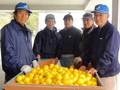 JAあしがら西湘 片浦レモン部会